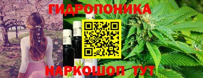 эйфоретик Будённовск