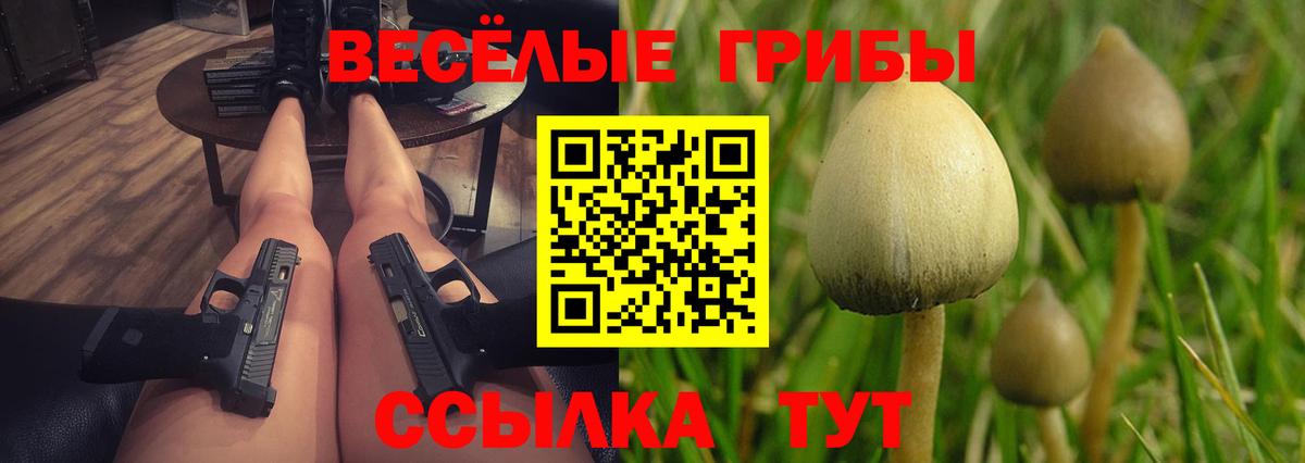 Галлюциногенные грибы Cubensis Конаково